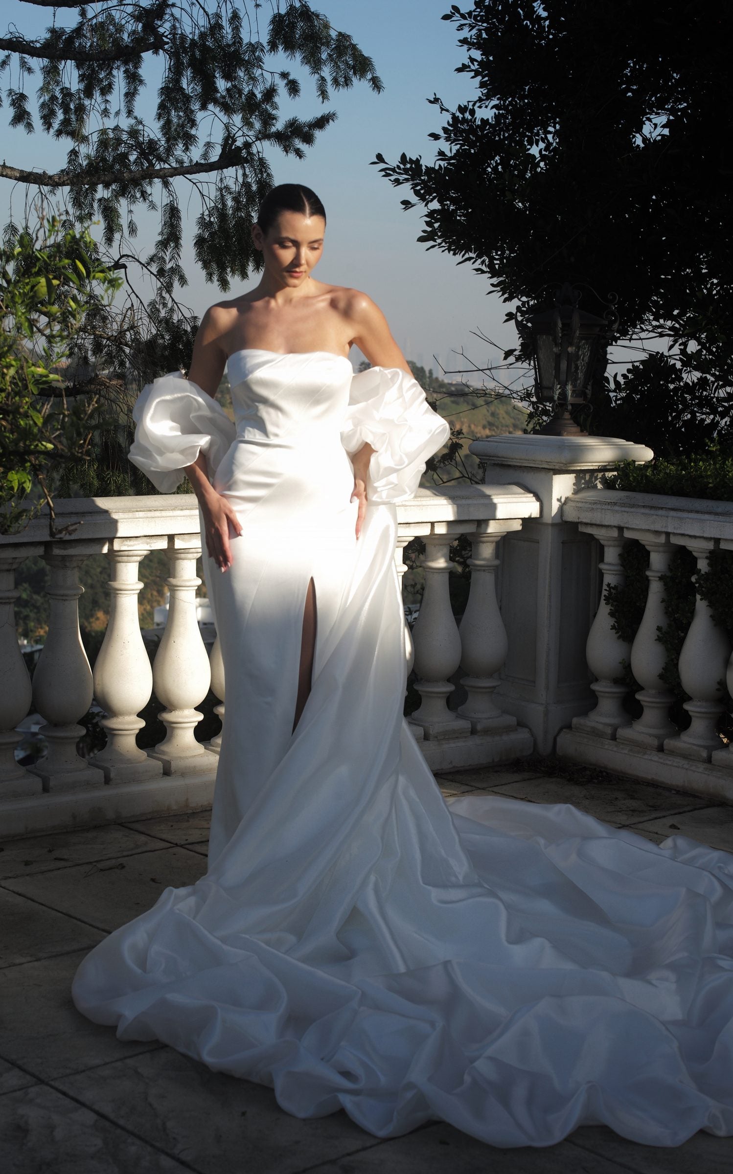 Crystal Gown