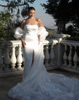 Crystal Gown